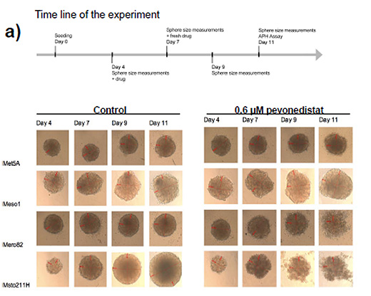 fig3a