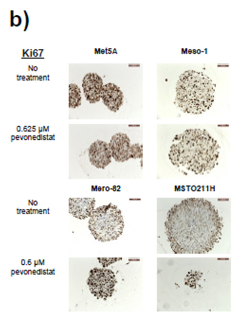 fig3b